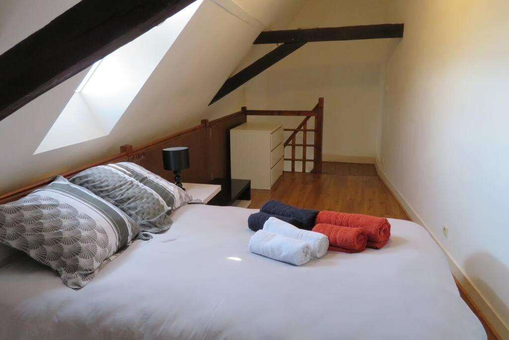 Loft De 53 M2 Centre Ville Blois,Tv Dış mekan fotoğraf